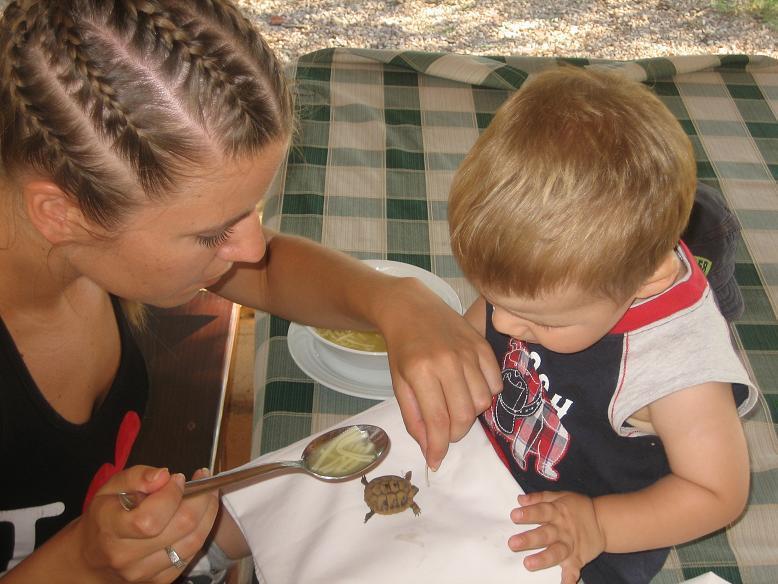 Agrotourism Galic Krka Hotel Drinovci Kültér fotó