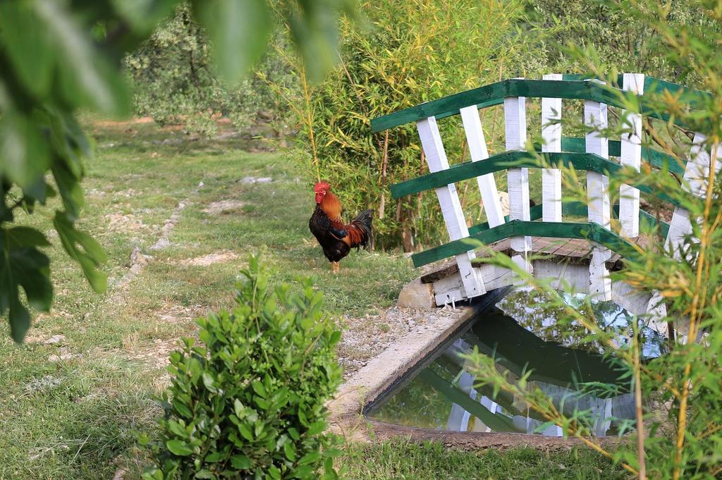 Agrotourism Galic Krka Hotel Drinovci Kültér fotó